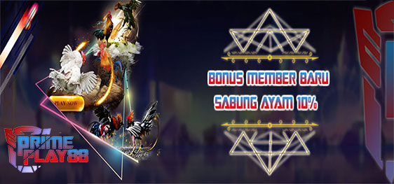 Bonus New Member Sabung Ayam Online Live 10% ( Sv388 | Live Sabung )